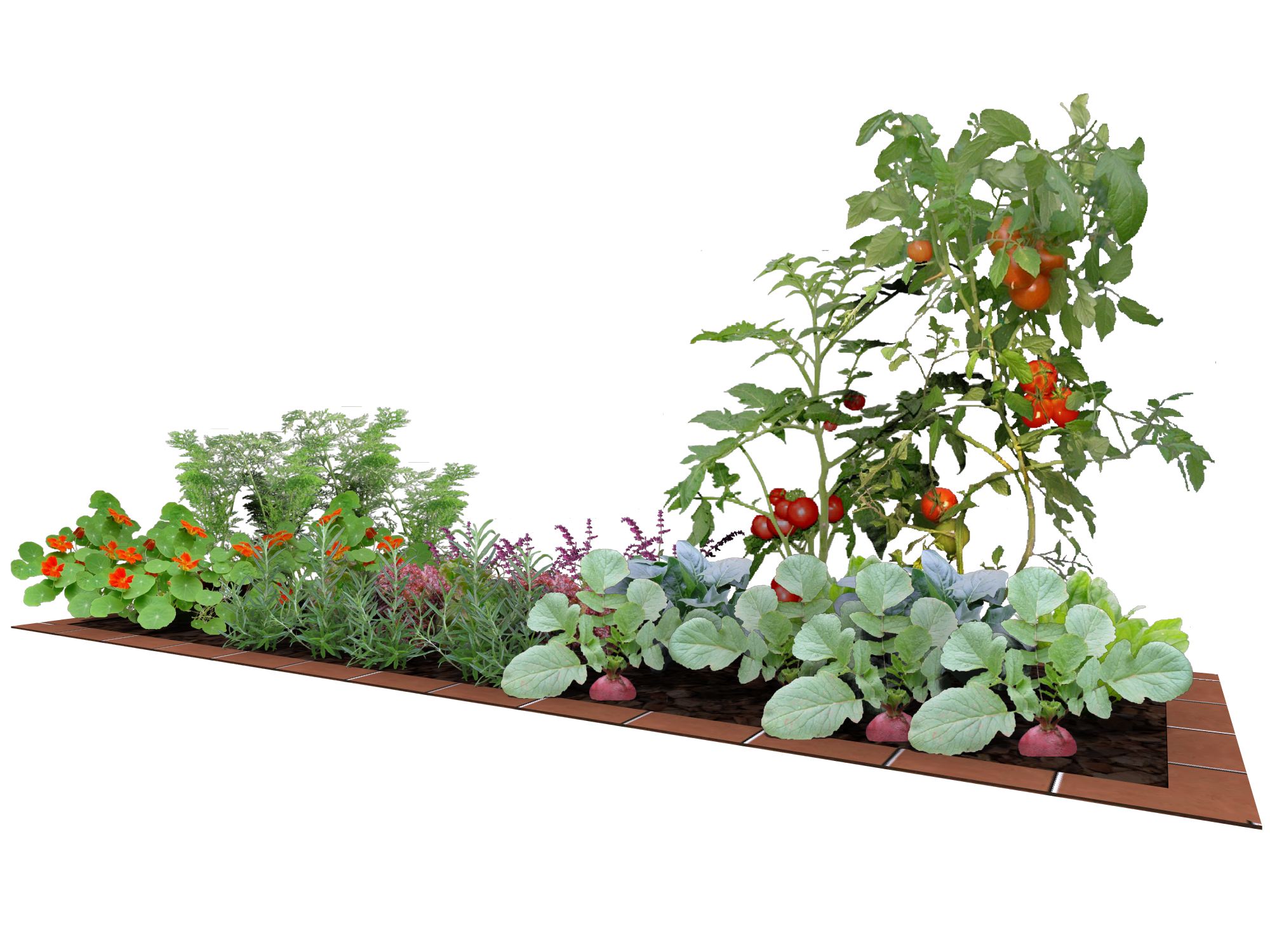 野菜 ポタジェ エクスプラット エクステリア ガーデンデザイン プラン検索サイト Rikcadデータ無料配信