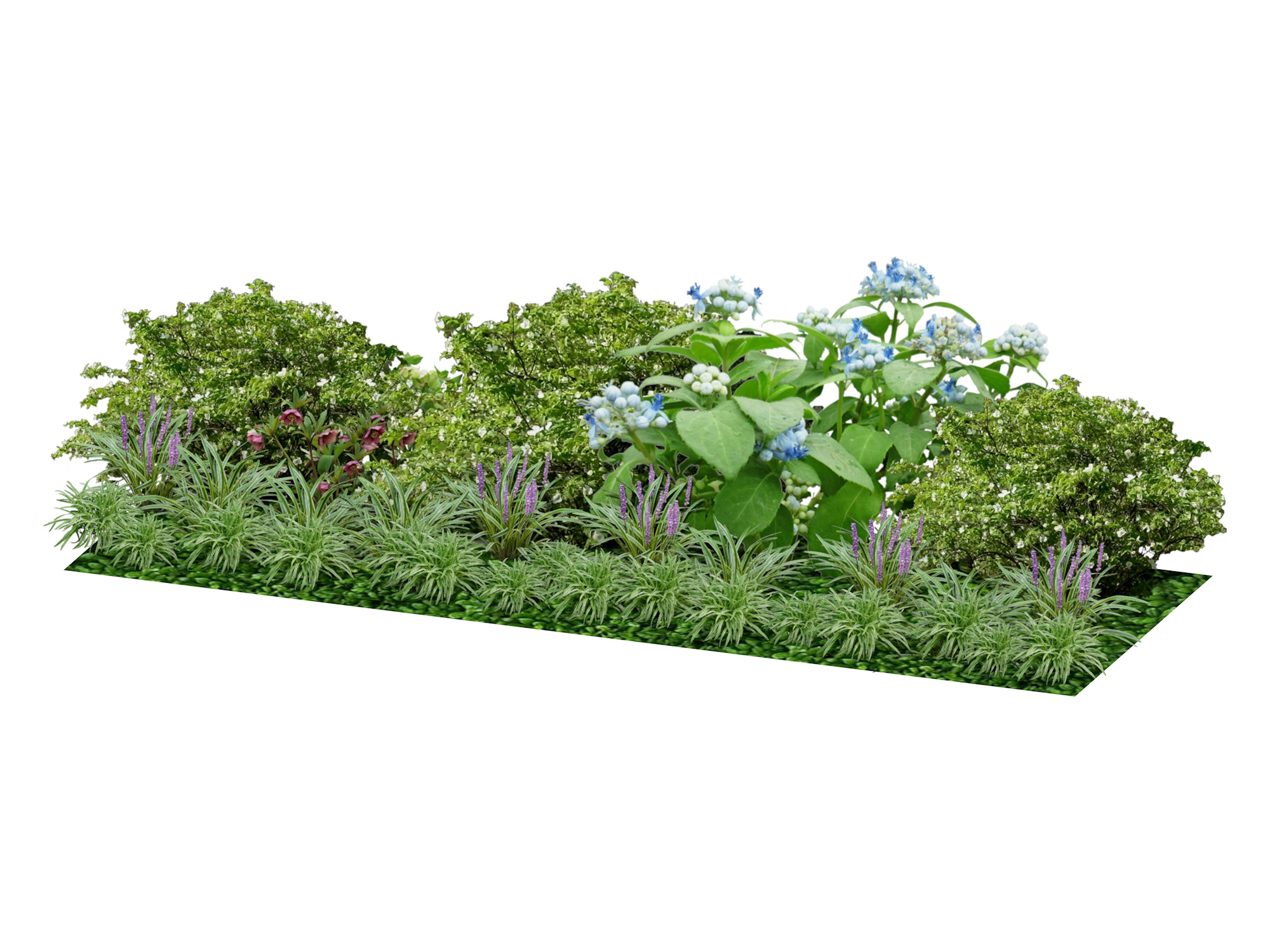 小さな空間にも対応 爽やかな植栽セット エクスプラット エクステリア ガーデンデザイン プラン検索サイト Rikcadデータ無料配信